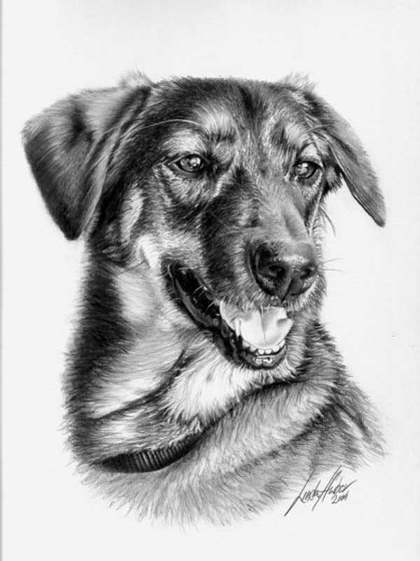 linda-huber-pencil-art-39