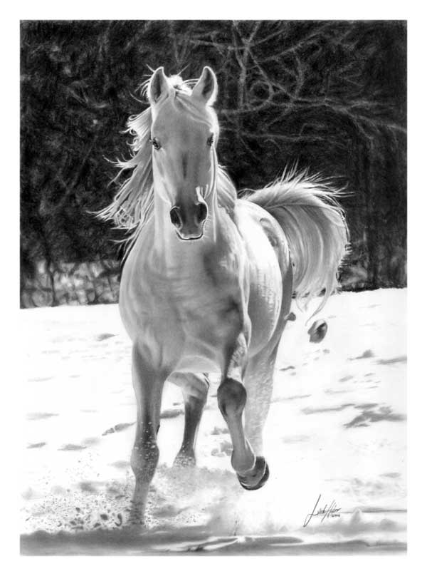 linda-huber-pencil-art-17