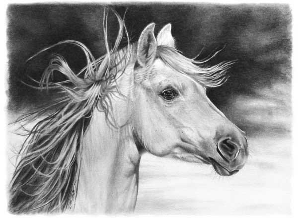 linda-huber-pencil-art-19