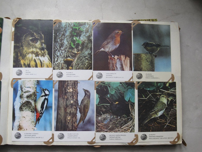 Из серии "Птицы Латвийской ССР" _ 1987 г.