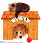 123759642090_1_20-small