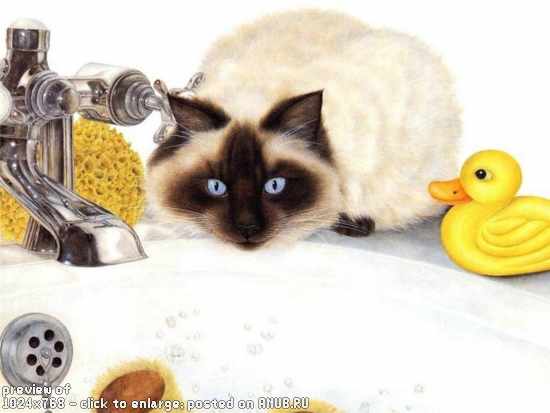 123759613397_1-small