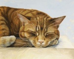 45026481_1244775636_cat_paintings_11
