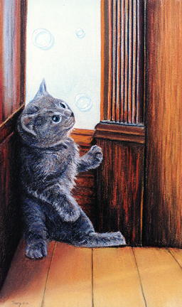 kitten_bubbles