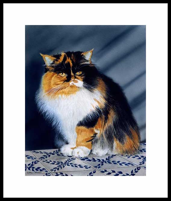 catmandrew_2111_156892794