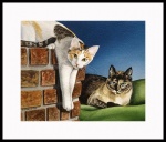 catmandrew_2111_149474915