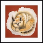 catmandrew_2111_139745435