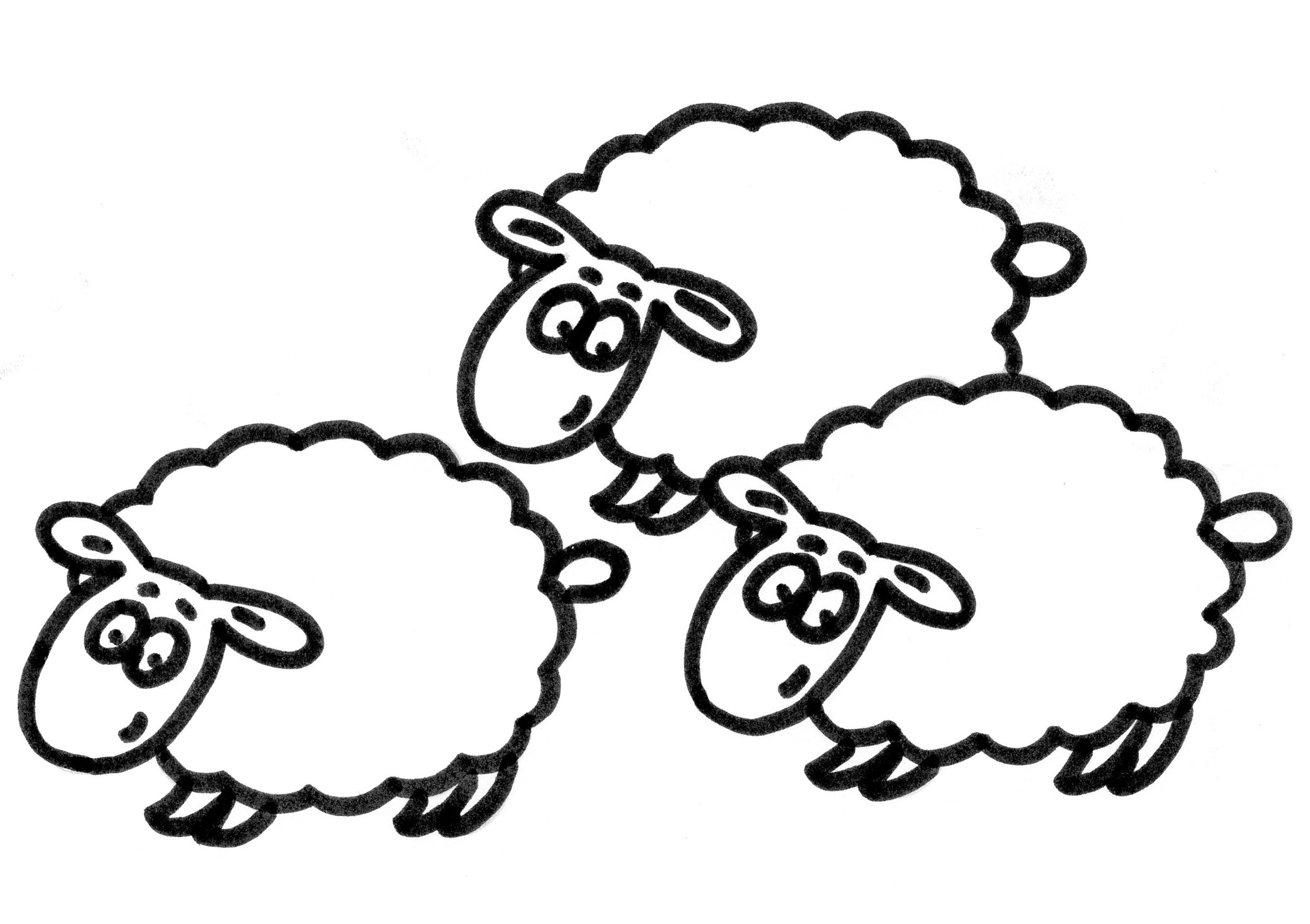 Картинки раскраски овцы (50 фото)